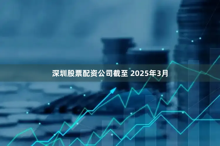 深圳股票配资公司截至 2025年3月
