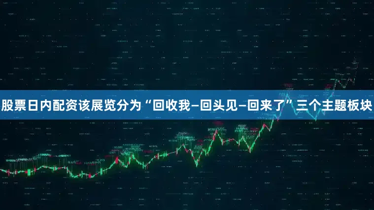 股票日内配资该展览分为“回收我—回头见—回来了”三个主题板块