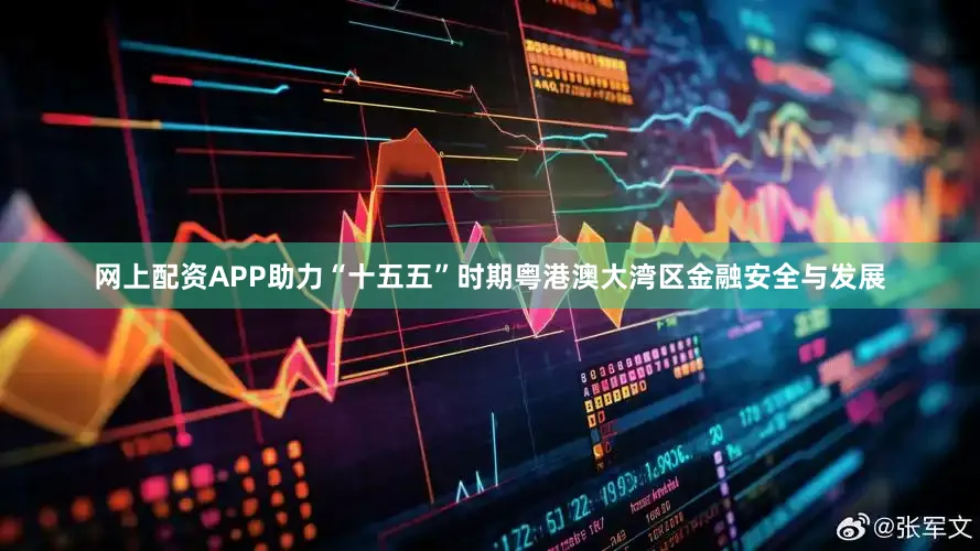 网上配资APP助力“十五五”时期粤港澳大湾区金融安全与发展